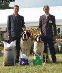 WUSB Show 2008 Grevenmacher (LU) - ICh. Tyronica Born For Winning a JCh. Anežka od Strážců hor - WUSB Nejlepší pár