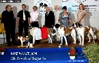 WUSB Show 2009 Martigny (CH) - JCh. Camilla od Strážců hor - WUSB Winner 2009