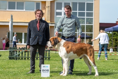 Ch. Viktor od Strážců hor - Best Of Breed