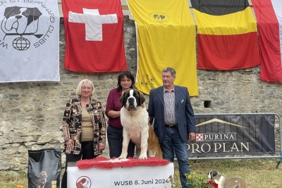 Connor Fortis Silesia - Nejlepší dorost WUSB Show 2024