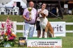 Gora od Žulových skal - JUNIOR BEST IN GROUP