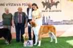 JCh. Gora od Žulových skal