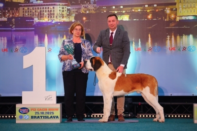 JCh. Lear od Strážců hor - JUNIOR BEST IN GROUP