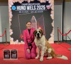 JCh. Olesea Eliščino království