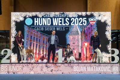 JCh. Olesea Eliščino království - RESERVE JUNIOR BEST IN SHOW