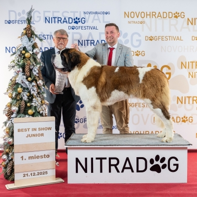 JCh. Napoleon od Strážců hor - JUNIOR BEST IN SHOW