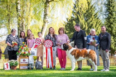JCh. Napoleon od Strážců hor - JUNIOR BEST IN SHOW
