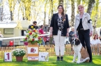 Etien Fortis Silesia - VN 1