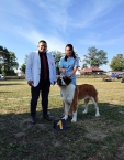 Ch. Gora od Žulových skal