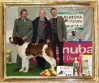 Ch. Harley vom Kuseler Musikantenland - CAC, Klubový vítěz, BOB (dlouhosrstý pes)