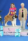Champion Boy Jurastic Bernaros