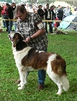 Ch. Harley vom Kuseler Musikantenland