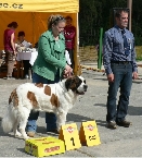 JCh. Chantal z Dobruské stáje