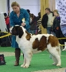 Colin St.Fellix King´s – V 2, res.CAC