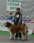 feny- mezitřída (dlouhosrstí)