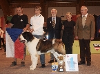 WUSB Show 2011 Seefeld  (A) - JCh. Absolute Winner od Klášterních lesů - WUSB Winner 2011