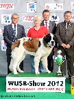 JUNIOR BEST IN SHOW