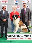 WUSB JUNIOR CHAMPION 2012 (longhaired female)