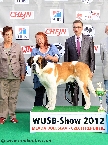 WUSB JUNIOR CHAMPION 2012 (shorthaired male)