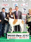 WUSB JUNIOR CHAMPION 2012 (shorthaired female)