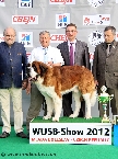 WUSB CHAMPION 2012 (longhaired male)