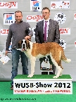 Best shorthaired puppy - female