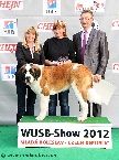 Best longhaired puppy - female