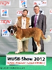 Best longhaired puppy - male