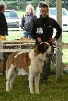 Quartz du Grand St.Bernard