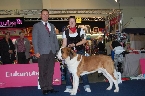 30.9.2012 CACIB Tulln, A