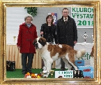 NICOLAS od Strážců hor - Klubový vítěz mladých dlouhosrstý pes, BOJ, JUNIOR BIS