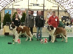 JCh. Nicolas od Strážců hor - výborný 1, CAC,JCh. Amigo z Hostýnských vrchů - výbrný 2, r.CAC 