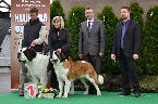 BOJAR ELIŠČINO KRÁLOVSTVÍ + QUERA OD STRÁŽCŮ HOR - Nejlepší pár výstavy