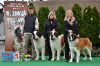 BOJAR + AMI + CLEOPATRA ELIŠČINO KRÁLOVSTVÍ - Nejlepší chovatelská skupina