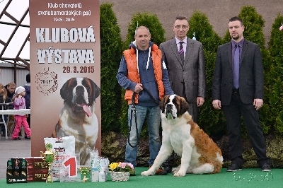 Klubový vítěz mladých 2015