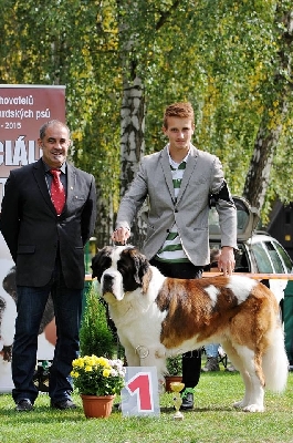 CAC - SPECIÁLNÍ VÝSTAVA ŽAMBERK 2015