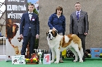 BOSS ZE STATKU OD DOBRÉ VODY - VÝBORNÁ 1, CAJC, KLUBOVÝ VÍTĚZ MLADÝCH (TŘ. MLADÝCH)