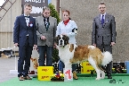 PAULO Z DORBUSKÉ STÁJE - VÝBORNÁ 1, CAC (MEZITŘÍDA)