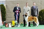 BEST IN SHOW JUNIOR - AGÁTA BARYKŮV DVŮR