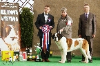 BEST IN SHOW - MOUNTBARRY BERNADETTE