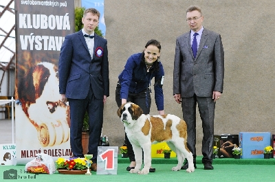 BIS štěně - KLUBOVÁ VÝSTAVA MLADÁ BOLESLAV 2016