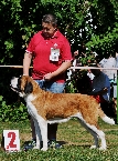 ANNE-MARIE OF MALSWAY SAINTS - V 1, CAC