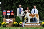 BEST OF BREED - LUMELAVIIN BRILIANT KIND OF HEART