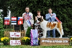 BEST IN SHOW + BEST IN SHOU JUNIOR - LUMELAVIIN BRILIANT KIND OF HEART