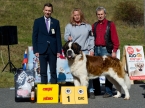 Ch. Diego von Güttler - CAC, Klubový vítěz, BOB