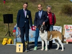 Carolina od Strážců hor - CAJC, Klubový vítěz mladých, BOJ