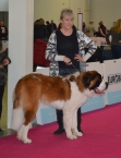 Artur St.Bernard Star 