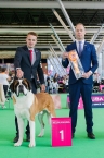 Světová výstava psů Amsterdam - CAC, CACIB, Světový vítěz 2018, BOB