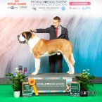 Světová výstava psů Amsterdam - CAC, CACIB, Světový vítěz 2018, BOB