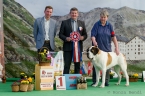 MOUNTBARRY CAMILLA - JUNIOR BEST IN SHOW